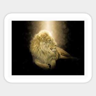 Lion Animal Wildlife Jungle Nature Safari Adventure Discovery Africa Digital Painting Sticker